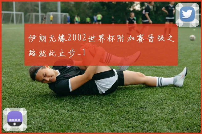 伊朗无缘2002世界杯附加赛晋级之路就此止步_1