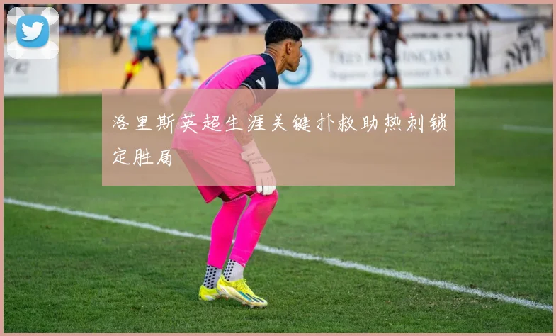 洛里斯英超生涯关键扑救助热刺锁定胜局