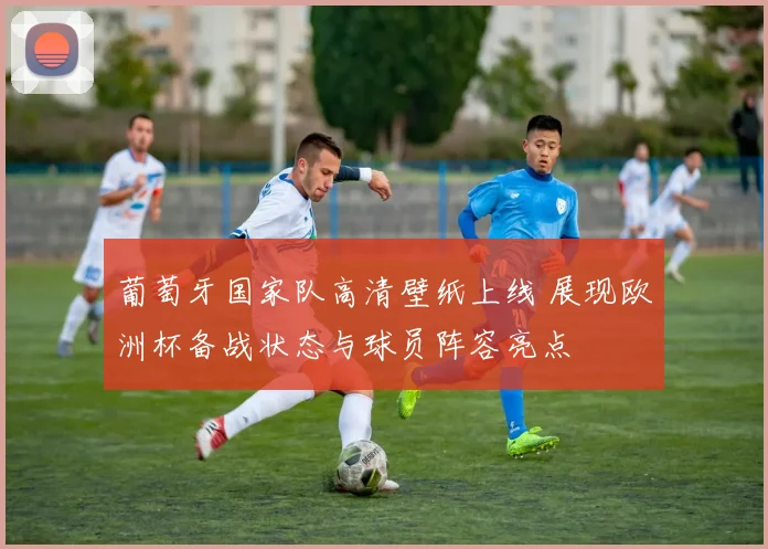 葡萄牙国家队高清壁纸上线 展现欧洲杯备战状态与球员阵容亮点